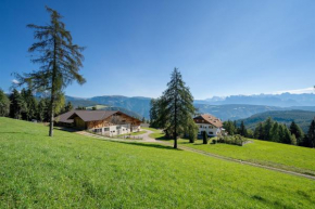 Stücklhof Wohnung Edelweiss